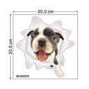 Lovely Pet 3D Wall Decals Stylish Eco-friendly Home Decor