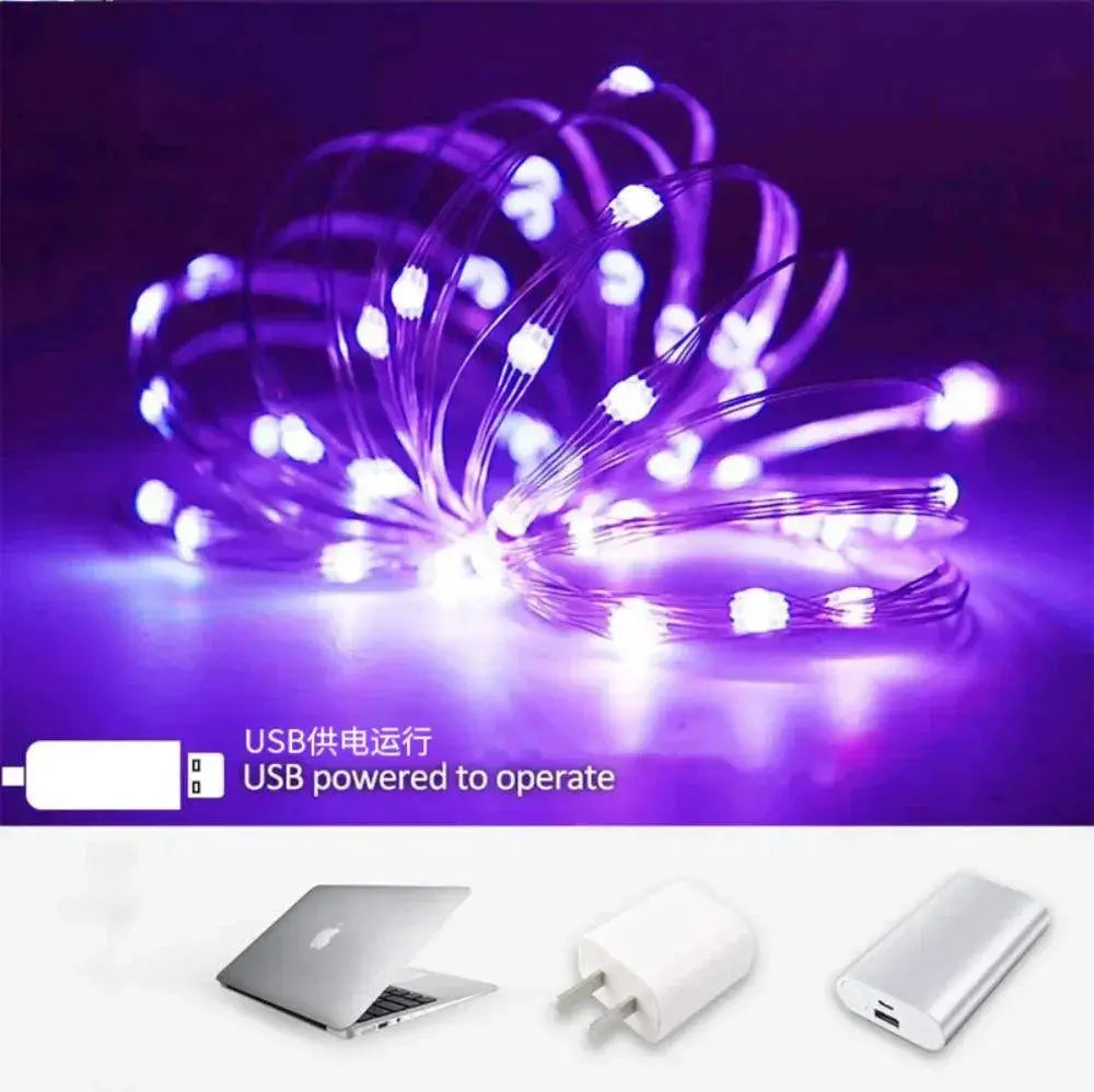 Magical USB LED Fairy Lights for Indoor and Outdoor Decor