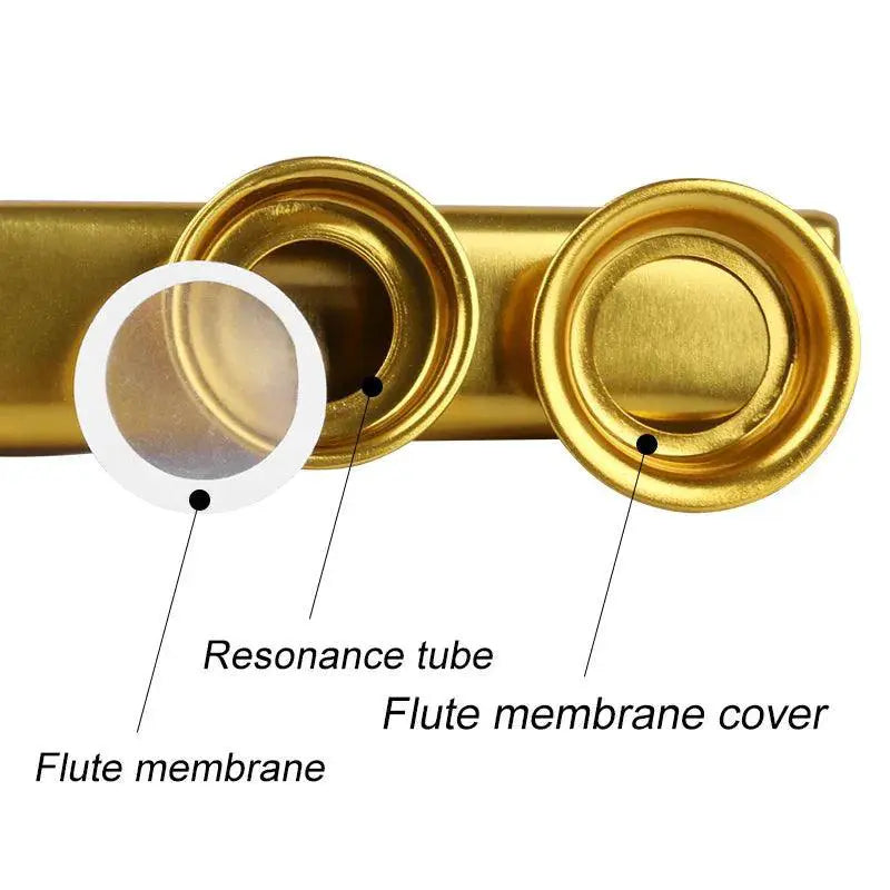 Metal Kazoo and 5 Piece Flute Gift Set for Musicians