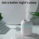 Mini Aroma Humidifier with Romantic Light USB Diffuser