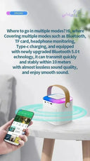 Clear Sound Karaoke System for Parties