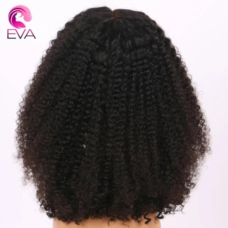 Mongolian Afro Kinky Curly HD Lace Front Wig Remy Hair