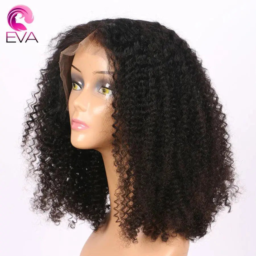 Mongolian Afro Kinky Curly HD Lace Front Wig Remy Hair