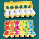 Montessori Sensory Baby Toys Colorful Eggs Shapes Fun