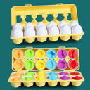 Montessori Sensory Baby Toys Colorful Eggs Shapes Fun