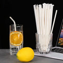 Eco Friendly Multicolor Straws for Bars