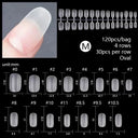 Durable Nail Tips Display Wheel for Pros