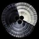 Durable Nail Tips Display Wheel for Pros
