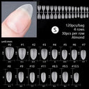 Durable Nail Tips Display Wheel for Pros