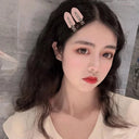 No Bend Hair Clips: Effortless Styling and Fringe Securing