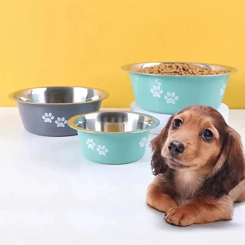 Non Slip Stainless Steel Dog Bowls Feeder Accessories
