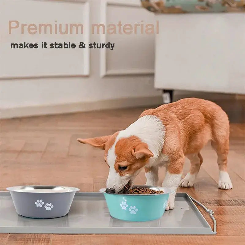 Non Slip Stainless Steel Dog Bowls Feeder Accessories