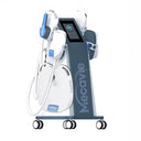 Noninvasive Fat Loss EMS Slimming Device