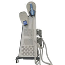 Noninvasive Fat Loss EMS Slimming Device