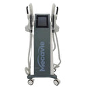 Noninvasive Fat Loss EMS Slimming Device