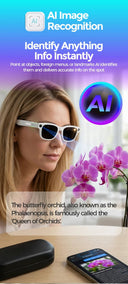 Glasses Translation for Travel