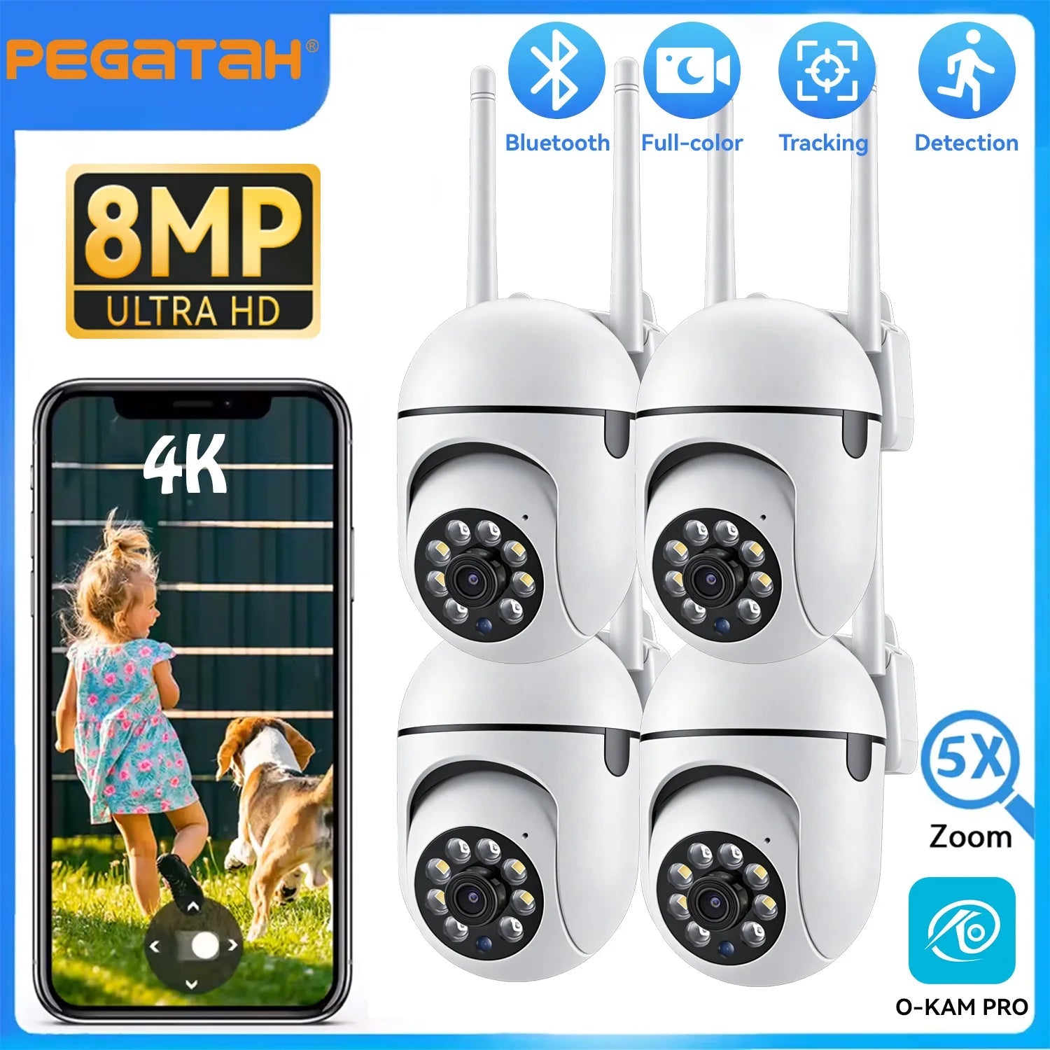 Reliable Indoor Camera for Home Security
