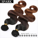Ombre Body Wave Hair Premium Remy Extensions Luxury Style