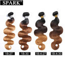 Ombre Body Wave Hair Premium Remy Extensions Luxury Style