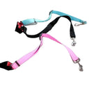 Secure Travel Harness for Dogs and Cats