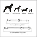 Secure Travel Harness for Dogs and Cats