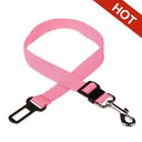 Secure Travel Harness for Dogs and Cats