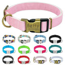 Safety Engraved ID Tag Nylon Dog Collar