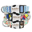 Safety Engraved ID Tag Nylon Dog Collar