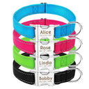 Safety Engraved ID Tag Nylon Dog Collar