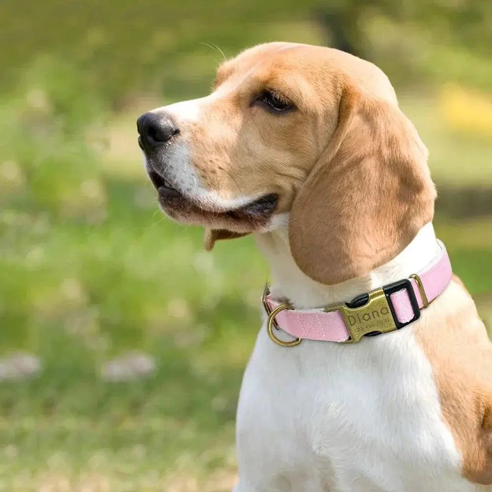 Adjustable Custom Nylon Dog Collar With Engraved ID Tag