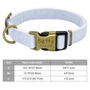 Adjustable Custom Nylon Dog Collar With Engraved ID Tag