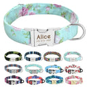 Safe ID Nylon Dog Collar For Pet Safety