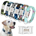 Safe ID Nylon Dog Collar For Pet Safety