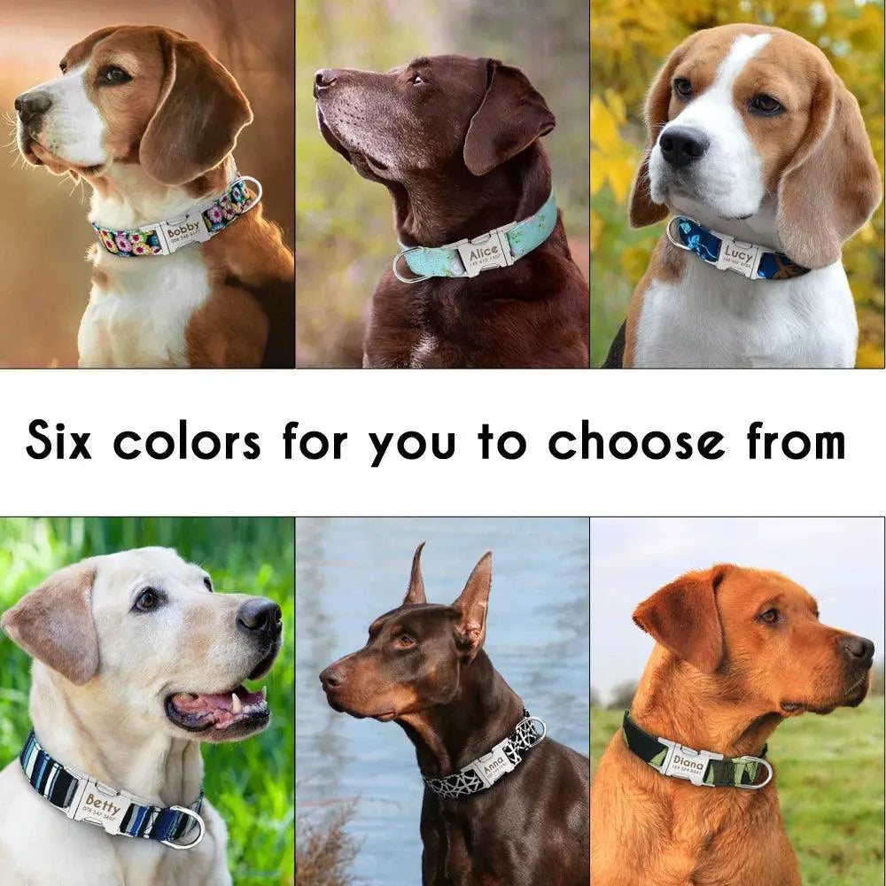 Personalized Nylon Dog Collar With Free Engraving Accessory