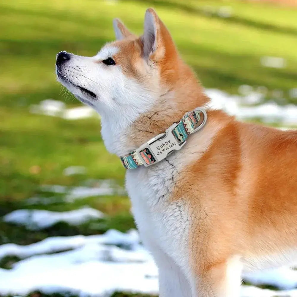 Personalized Nylon Dog Collar With Free Engraving Accessory