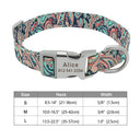 Safe ID Nylon Dog Collar For Pet Safety