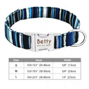 Safe ID Nylon Dog Collar For Pet Safety