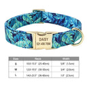 Safe ID Nylon Dog Collar For Pet Safety
