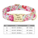 Safe ID Nylon Dog Collar For Pet Safety