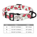 Safe ID Nylon Dog Collar For Pet Safety
