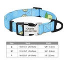 Safe ID Nylon Dog Collar For Pet Safety