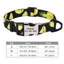Safe ID Nylon Dog Collar For Pet Safety