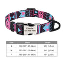Safe ID Nylon Dog Collar For Pet Safety
