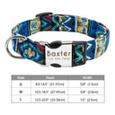 Safe ID Nylon Dog Collar For Pet Safety