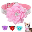 Rhinestone Flower Collar for Dogs Glam