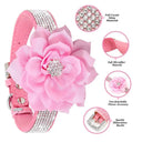 Rhinestone Flower Collar for Dogs Glam
