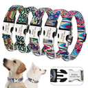 Engraved Nylon Dog Collar for Safe ID