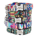 Engraved Nylon Dog Collar for Safe ID