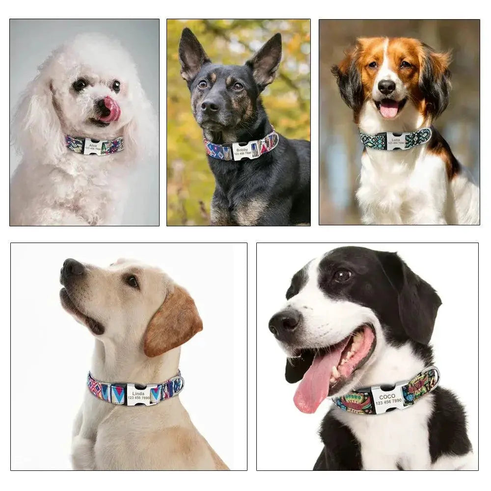 Engraved Nylon Pet ID Collar With Nameplate For Dogs