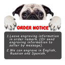 Engraved Nylon Dog Collar for Safe ID